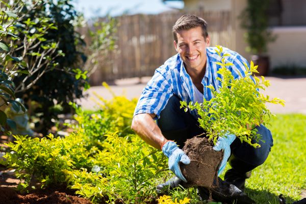 Bush Planting Service in Walla Walla