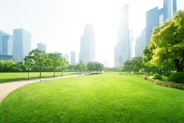 Commercial Landscape Maintenance in Walla Walla