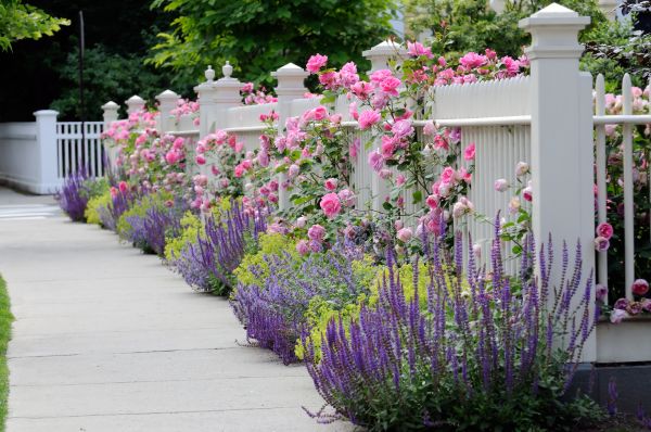 Garden Handyman Service in Walla Walla