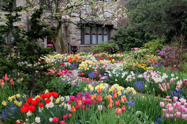 Garden Maintenance Service in Walla Walla