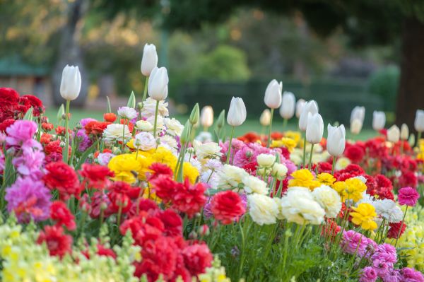 Gardening Service in Walla Walla
