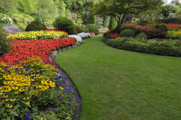 Landscaping Maintenance in Walla Walla