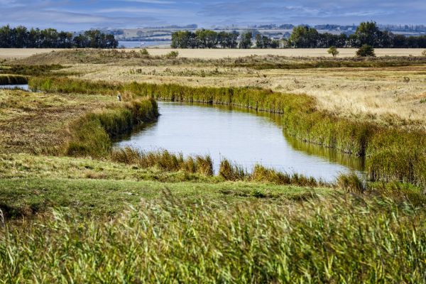 Swale Landscaping in Walla Walla