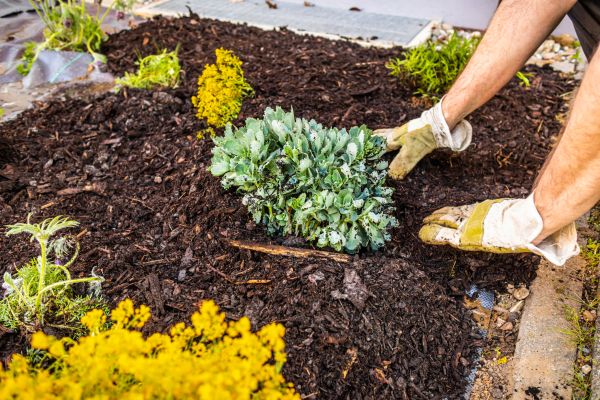 Weeding And Mulching in Walla Walla