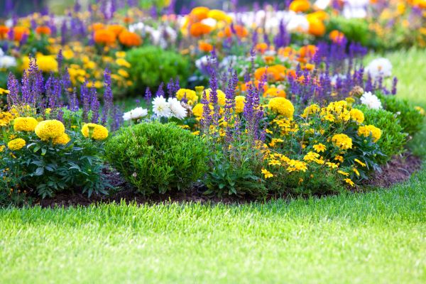 Garden Installation in Walla Walla