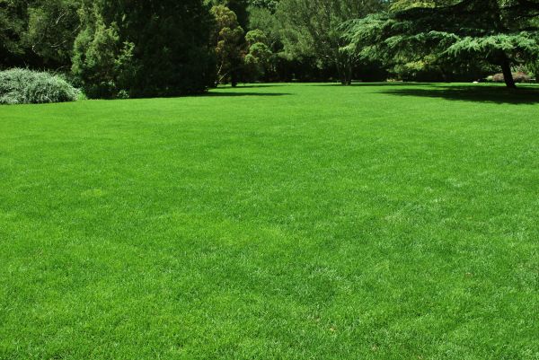 Lawn Landscaping in Walla Walla