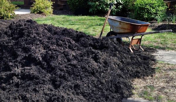Black Mulch Delivery in Walla Walla