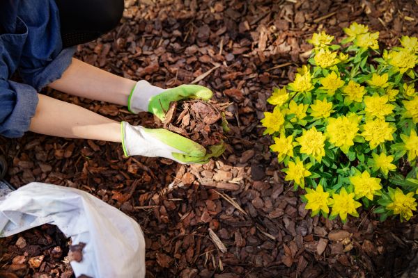 Garden Mulching in Walla Walla