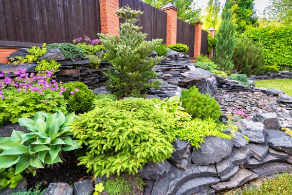Landscape Remodeling in Walla Walla