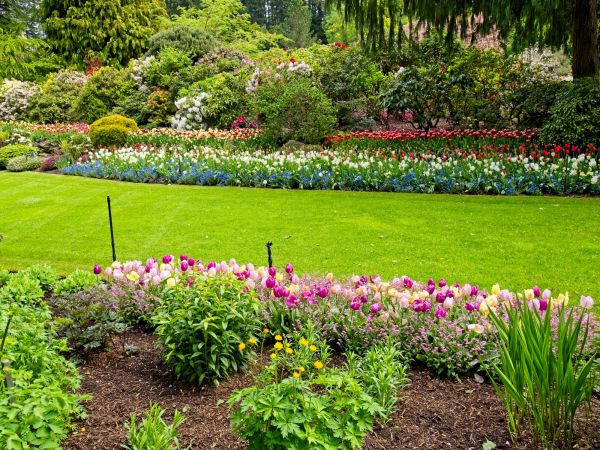 Residential Landscape Design in Walla Walla