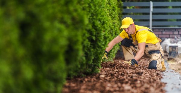 Cypress Mulch Installation in Walla Walla
