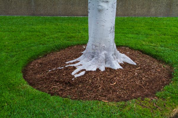 Brown Mulch Installation in Walla Walla