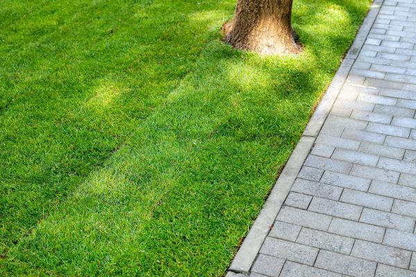 Border Stone Installation in Walla Walla