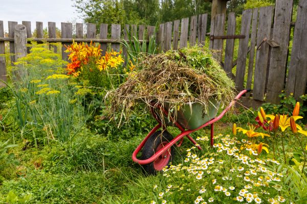 Garden Cleanup Service in Walla Walla