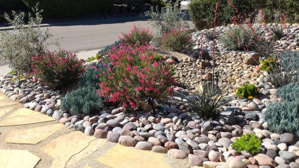 Xeriscape Landscaping in Walla Walla