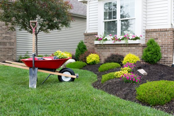 Tree And Shrub Planting in Walla Walla