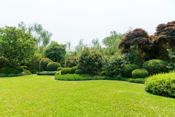 Tree Landscaping in Walla Walla
