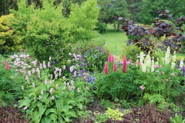 Flower Bed Planting in Walla Walla