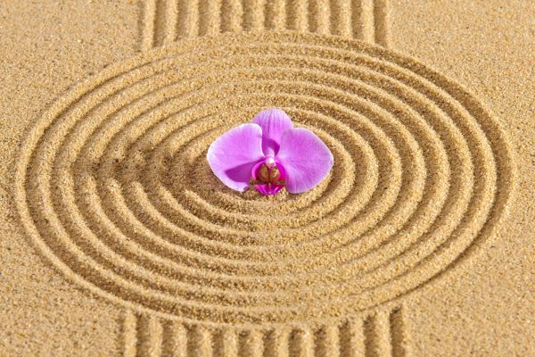 Sand Garden Landscaping in Walla Walla