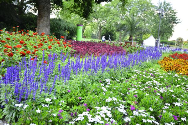 Perennials Planting in Walla Walla