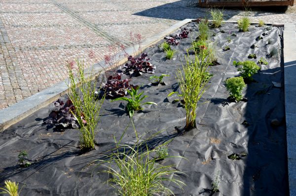Landscape Fabric Installation in Walla Walla