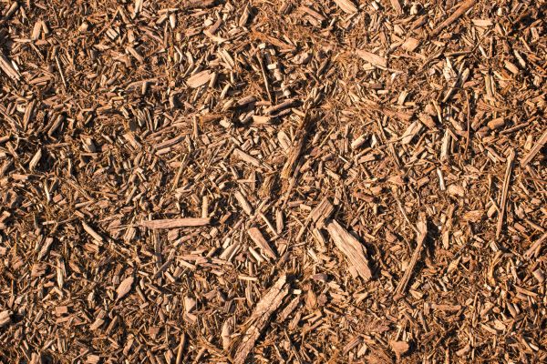 Wood Chips Removal in Walla Walla