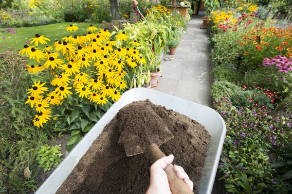 Topsoil Replacement in Walla Walla