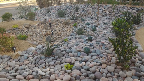 Yard Xeriscaping in Walla Walla