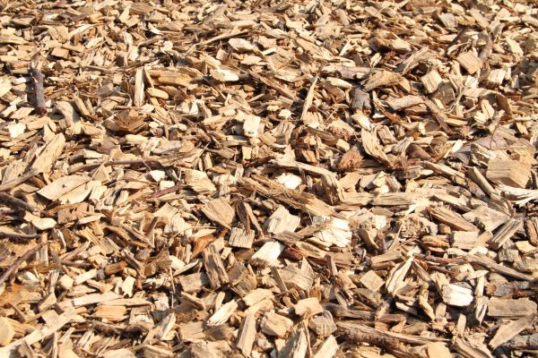 Wood Mulch Delivery in Walla Walla