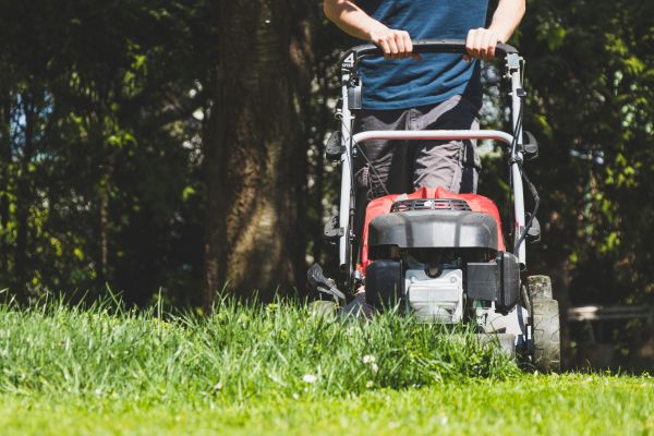 Garden Trimming Service in Walla Walla