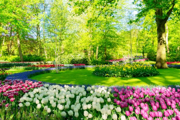 Flower Landscaping in Walla Walla