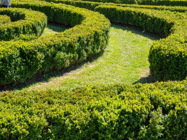 Bush Landscaping in Walla Walla