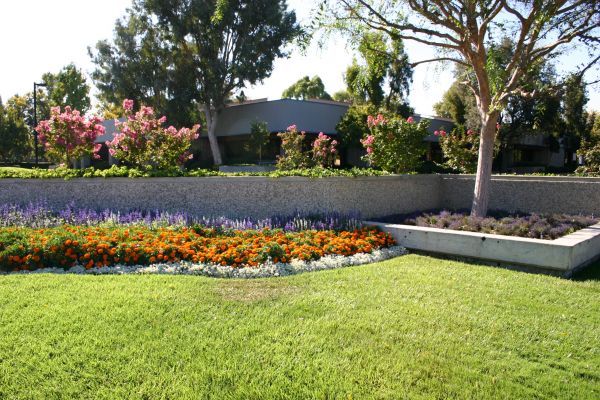 Commercial Landscape Service in Walla Walla