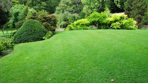 Commercial Landscape Design in Walla Walla