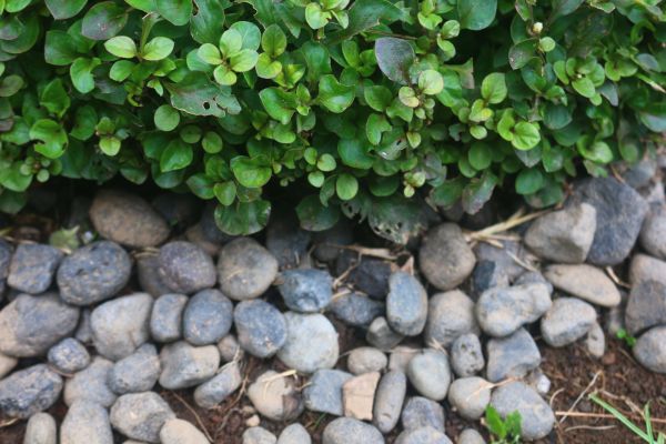 River Stone Installation in Walla Walla