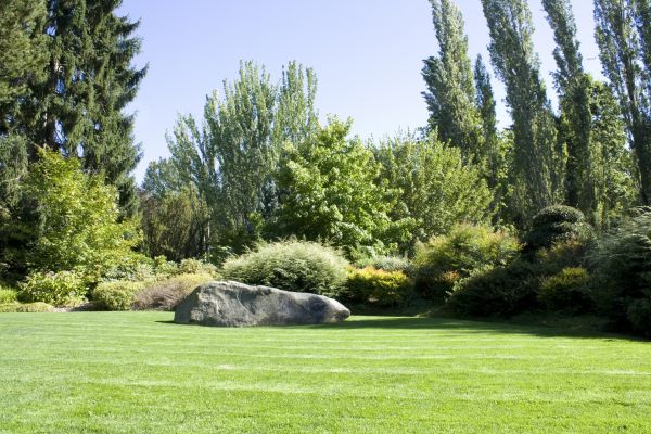 Yard Enlargement in Walla Walla