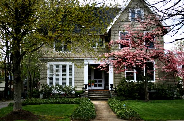 Ornamental Tree Planting in Walla Walla