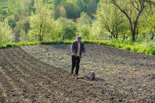 Plant Bed Weeding in Walla Walla