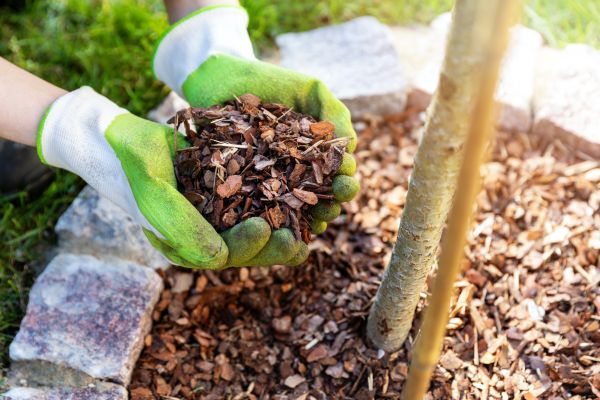 Tree Bark Delivery in Walla Walla