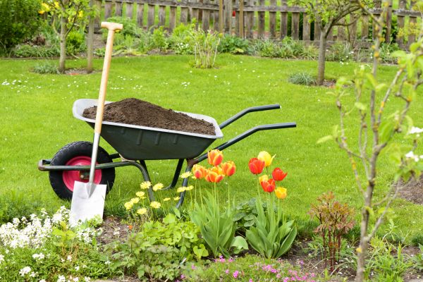 Spring Yard Renovation in Walla Walla