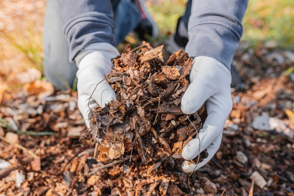 Shredded Mulch Installation in Walla Walla