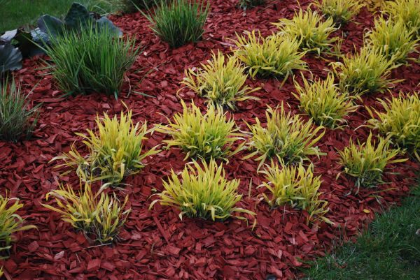 Red Mulch Installation in Walla Walla