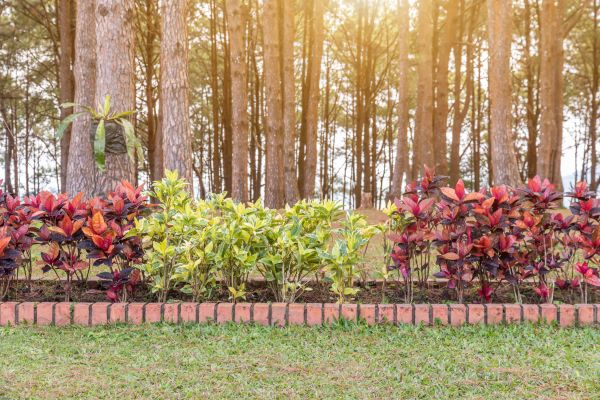 Small Garden Landscaping in Walla Walla
