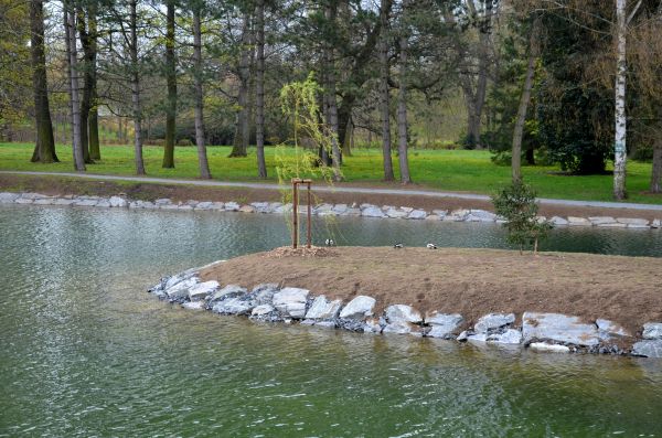 Pond Landscaping Service in Walla Walla
