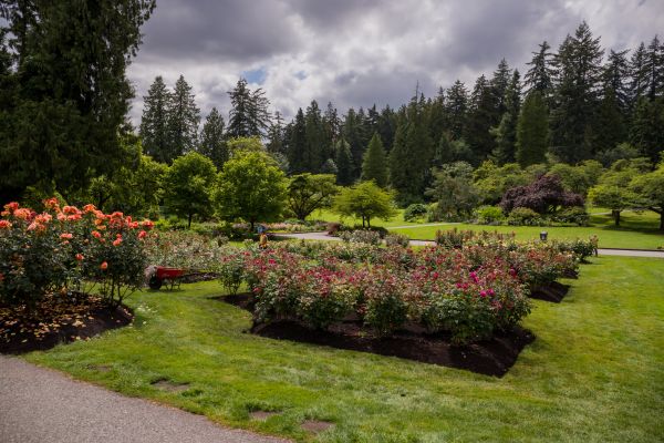 Flower Garden Landscaping in Walla Walla
