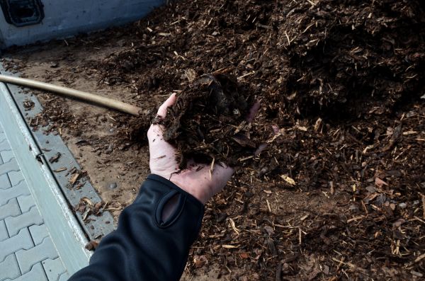 Condo Mulching in Walla Walla