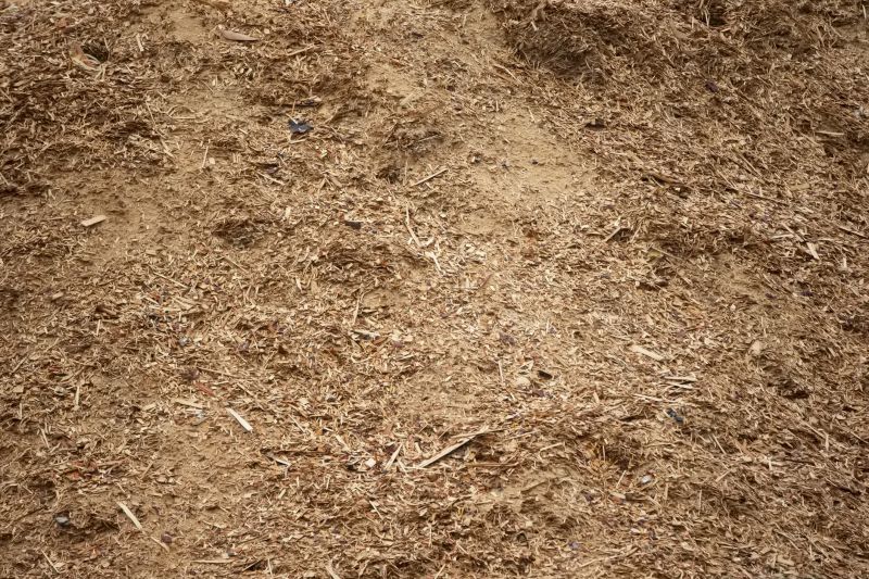 Bark Delivery Service