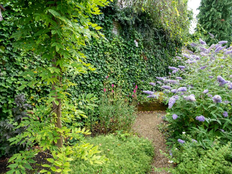 Lush Garden Designs