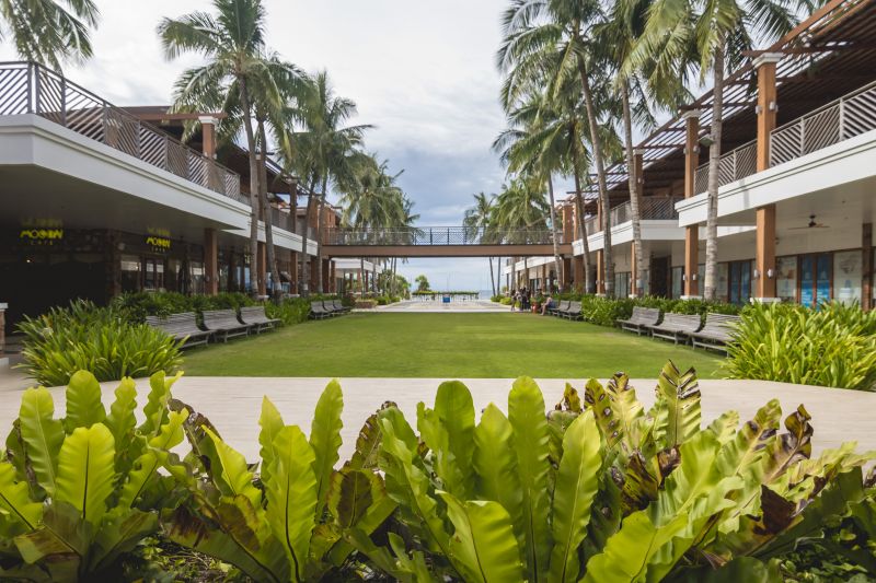 Tropical Landscaping